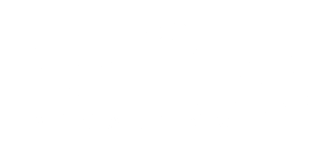 비나통 로고